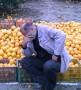امیدهای یخزده باغداران مازندرانی و نقص ادعای رئیس جمهور درباره بهبود اوضاع کشاورزان