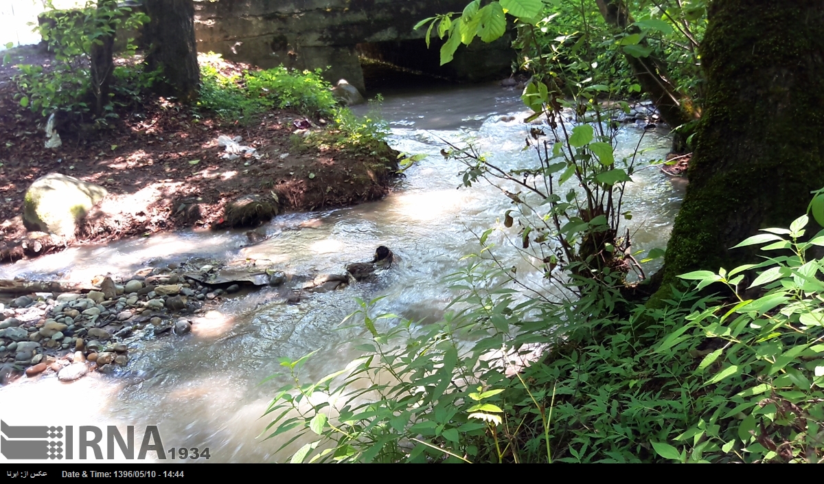 کاهش حدود ۳۰ درصدی آبدهی رودخانه‌های دائمی غرب مازندران