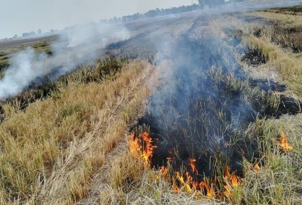 مزارع در شعله باورهای غلط می سوزد